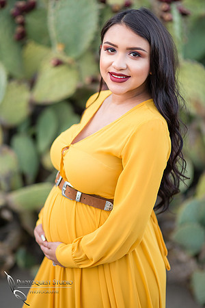 Maternity Photo with Horse by Temecula Wedding Photographer, Photoquest Studio, Photography at Frank G Bonelli Regional County Park, San Dimas, California.