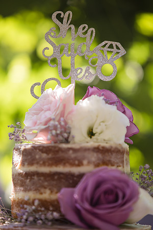 Surprise Proposal, Wilson Creek, Temecula Winery Wedding Photographer, Noelle & Johnny (5)