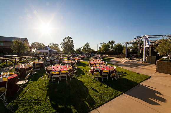Temecula Wedding Photographer, Concert Photographer at Wiens Family Cellars Winery, The English Beat