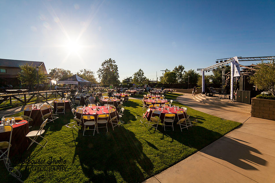 Temecula Wedding Photographer, Concert Photographer at Wiens Family Cellars Winery, The English Beat