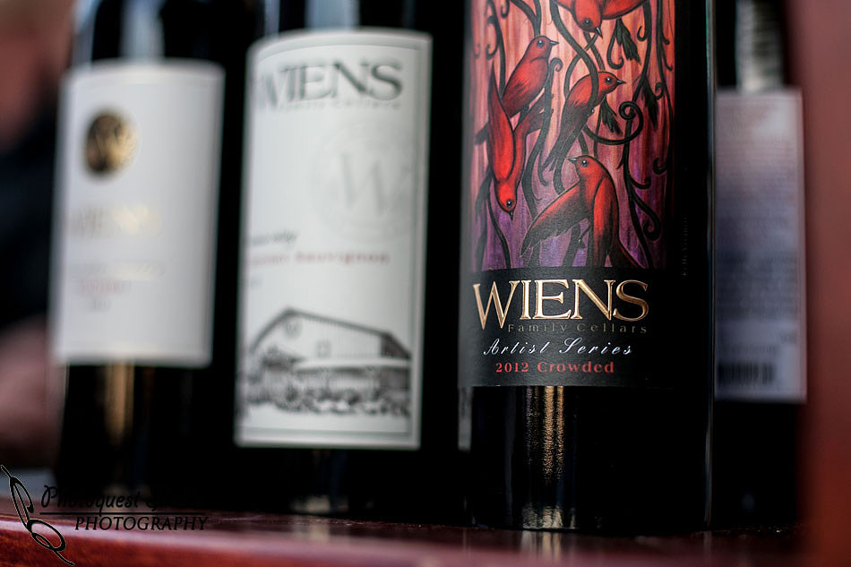 Temecula Wedding Photographer, Concert Photographer at Wiens Family Cellars Winery, The English Beat