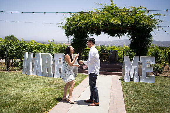 nina les orange county wedding photographer lorimar temecula winery surprise proposal-47