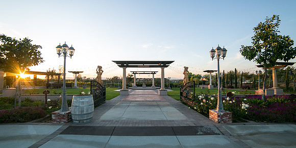 Mount Palomar Temecula Winery Wedding, Melissa and Chris Wedding by Temecula Wedding Photographer