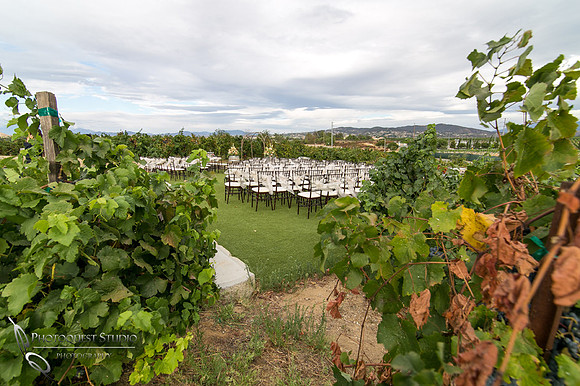 Monte De Oro Winery Wedding