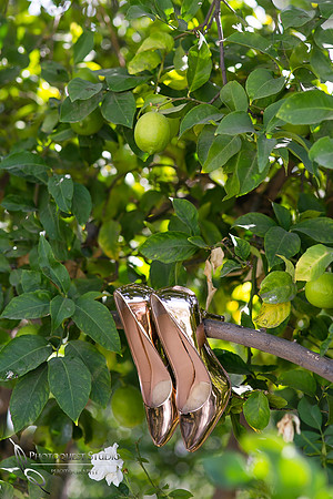 Gold wedding shoes