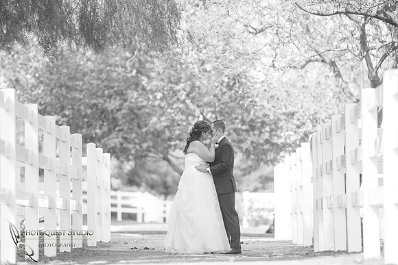 Chino-Hill-Wedding-Photographer-at-McCoy-Equestrian-Center,-Marlene-and-Tim-183