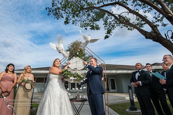 Dove release at wedding photo