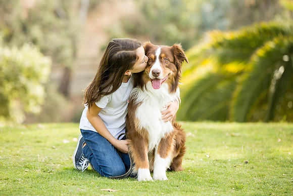 Dog, best friend forever, Family Photo in Southern California