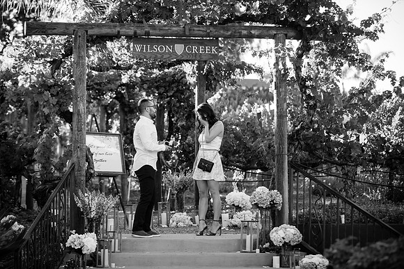 Surprise Proposal, Wilson Creek, Temecula Winery Wedding Photographer, Noelle & Johnny (17)