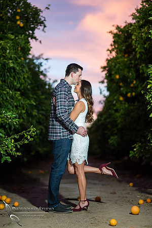 Engagement Photo at Wiens, Temecula Winery Wedding Photographer, Paige and Alex (35)
