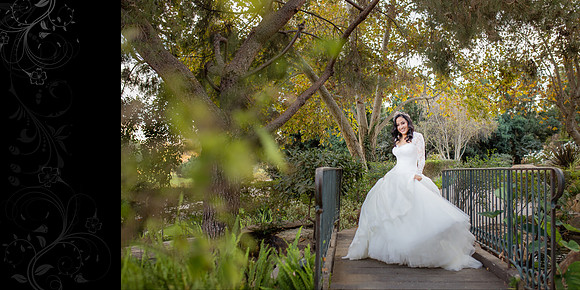 Elizabeth & Steven 015 (Sides 28-29)