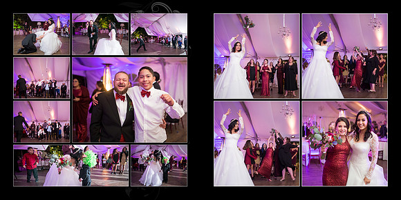 Elizabeth & Steven 027 (Sides 52-53)