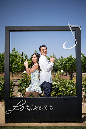 nina les orange county wedding photographer lorimar temecula winery surprise proposal-140
