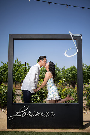 nina les orange county wedding photographer lorimar temecula winery surprise proposal-146
