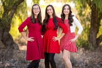 Temecula Family Wedding Photographer, Photoquest Studio, Photography, Rayne & Mike-9