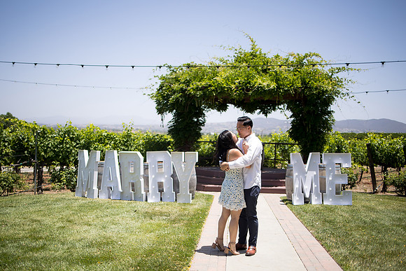 nina les orange county wedding photographer lorimar temecula winery surprise proposal-43