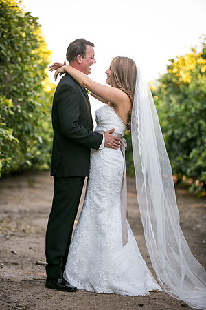 Beautiful wedding at Wiens Family Cellars Temecula Winery - Sarah & Shawn