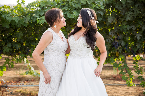 Wedding-Photo-at-Leoness-Cellars-by-Temecula-Winery-Photographer-Cynthia-and-Adam--(339)