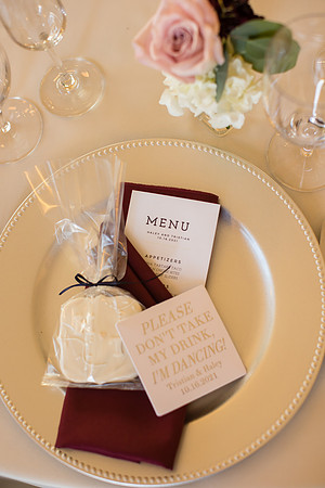 Temecula Wedding Photographer at Avensole Winery, Haley & Tristian-490