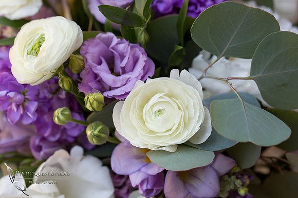pretty white flower