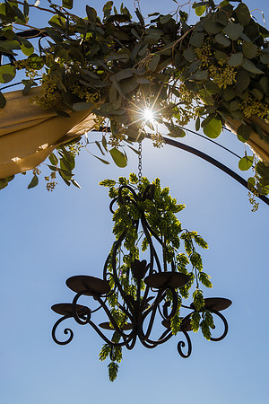 Temecula Wedding Photographer at Private Residence Wedding in La Cresta, Shae & Justin-17