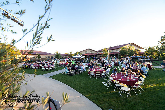 Temecula Wedding Photographer, Concert Photographer at Wiens Family Cellars Winery, The English Beat