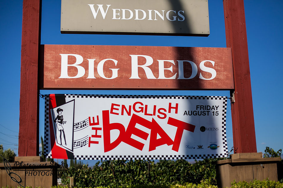 Temecula Wedding Photographer, Concert Photographer at Wiens Family Cellars Winery, The English Beat