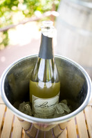 nina les orange county wedding photographer lorimar temecula winery surprise proposal-9