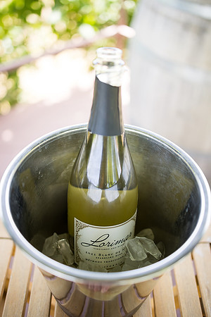 nina les orange county wedding photographer lorimar temecula winery surprise proposal-9