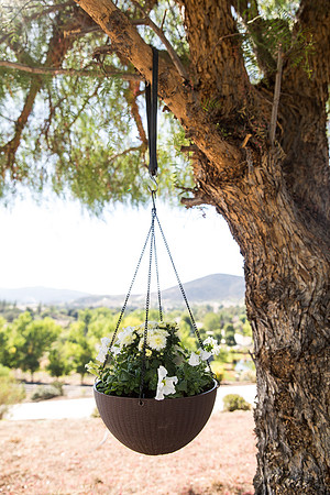 Temecula Wedding Photographer at Private Residence Wedding in La Cresta, Shae & Justin-12