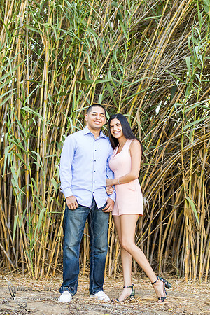 hand in hand at engagement session