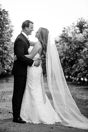 Beautiful wedding at Wiens Family Cellars Temecula Winery - Sarah & Shawn
