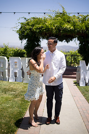 nina les orange county wedding photographer lorimar temecula winery surprise proposal-70