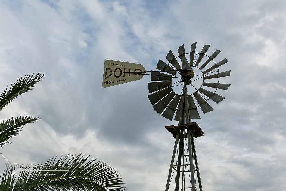 Doffo-Winery-Photo-by-Temecula-Wedding-Photographer-of-Photoquest-Studio-8