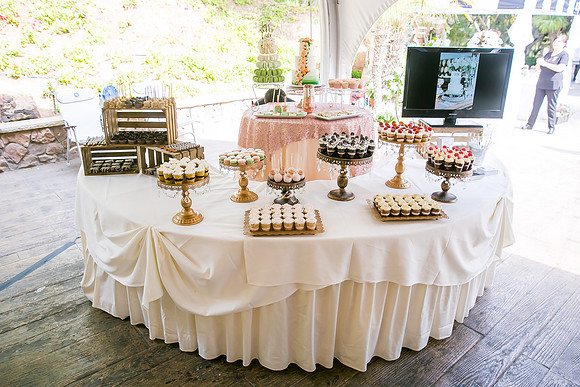Fallbrook, Temecula Wedding Photographer at Pala Mesa Bridal Show by Photoquest Studio, Photography-11