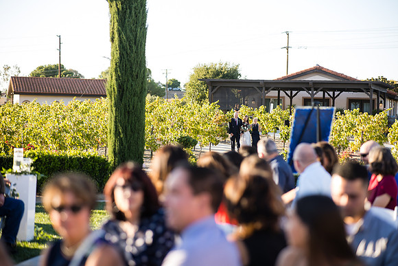 Temecula Wedding Photographer at Avensole Winery, Haley & Tristian-383