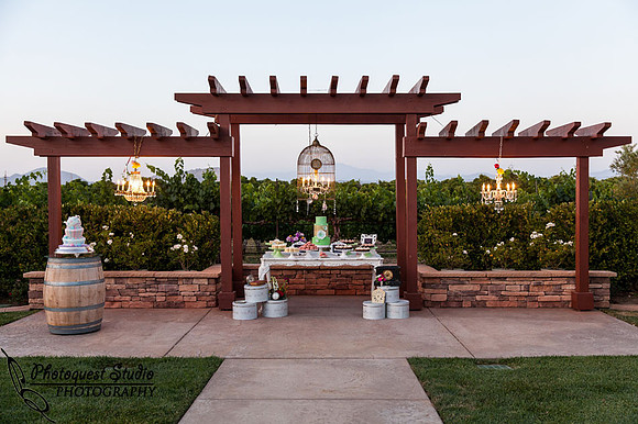 Temecula-Wedding-Photographer-at-Wiens-Family-Cellar-Winery-Bride-&-Groom-Tasting-Dinner-(1)