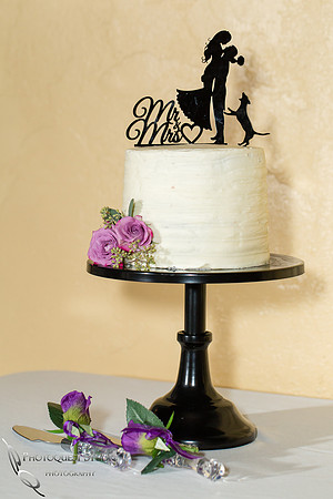 Temecula-Photographer,-Wedding-in-San-Diego,-Angela-&-Ivan--(678)