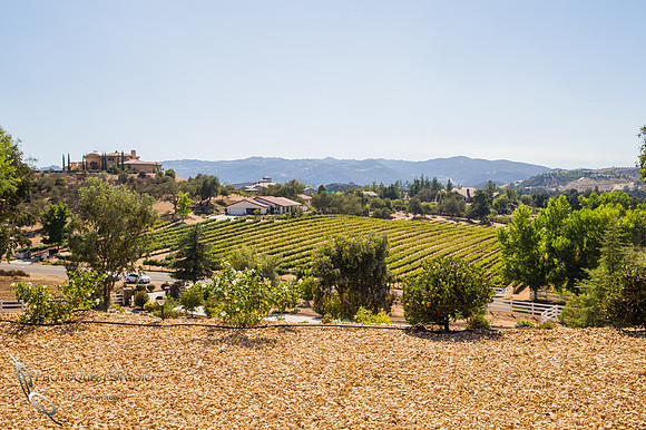 Temecula-Wedding-Photographer-at-Private-Residence-Wedding-in-La-Cresta