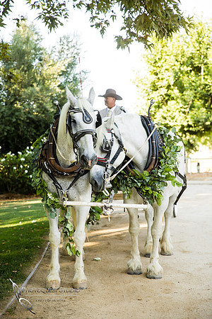 Wedding-Photo-at-Wedgewood-Galway-Downs-by-Temecula-Photographer,-Photoquest-Studio,-Photography-45