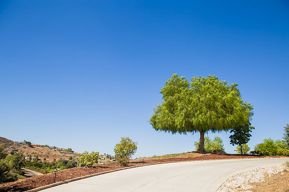 Temecula Wedding Photographer at Private Residence Wedding in La Cresta, Shae & Justin-9