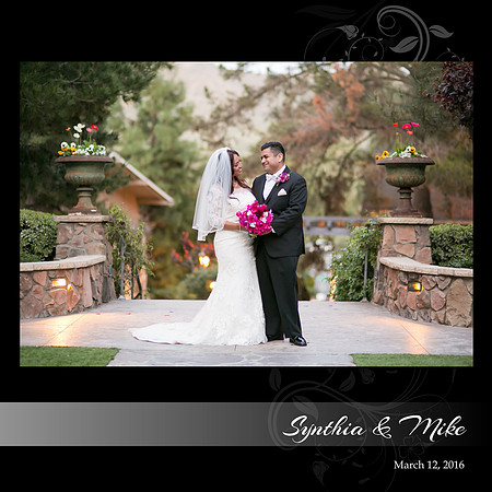 Synthia & Mike Wedding Album 001 (Side 1)