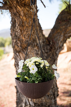 Temecula Wedding Photographer at Private Residence Wedding in La Cresta, Shae & Justin-33