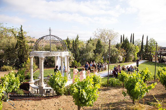 Temecula-Winery-Wedding-Photographer,-Europa-Village,-Fabiola-&-Scott-(214)