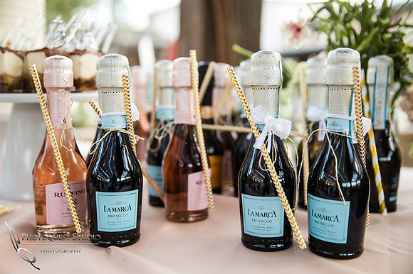 Temecula-Winery-Wedding-Photographer,-Europa-Village,-Fabiola-&-Scott-(340)