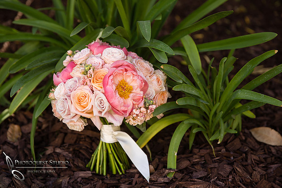 Temecula-Winery-Wedding-Photographer,-Europa-Village,-Fabiola-&-Scott-(4)