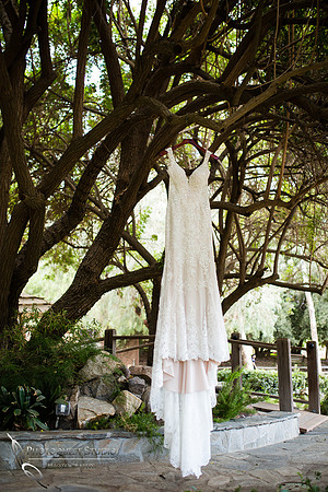 The Bride beautiful wedding dress