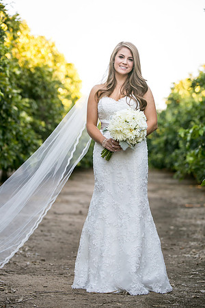 Beautiful wedding at Wiens Family Cellars Temecula Winery - Sarah & Shawn
