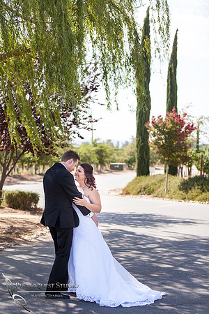 Temecula Wedding Photographer captured romantic and fun wedding photos at Wiens Family Cellars, Temecula Winery Wedding.