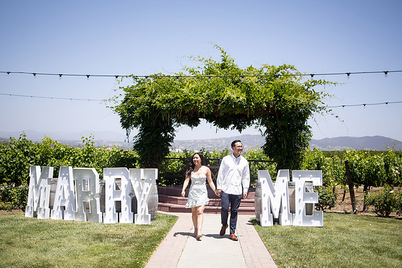 nina les orange county wedding photographer lorimar temecula winery surprise proposal-125